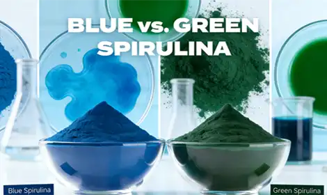 What are the Differences Between Blue and Green Spirulina Powder for Manufacturers?